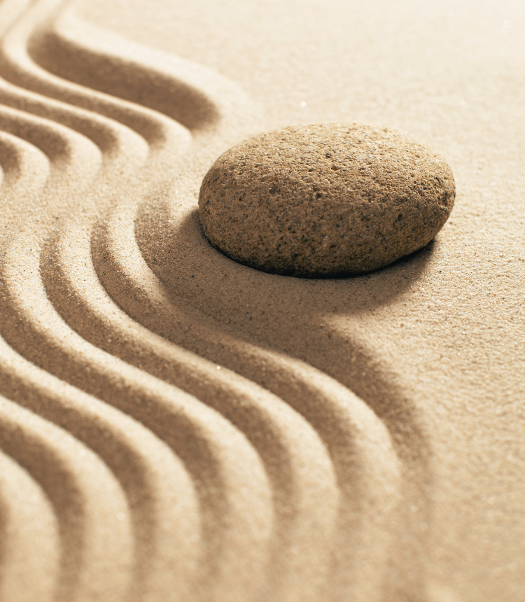equilibriointegral_home (5)